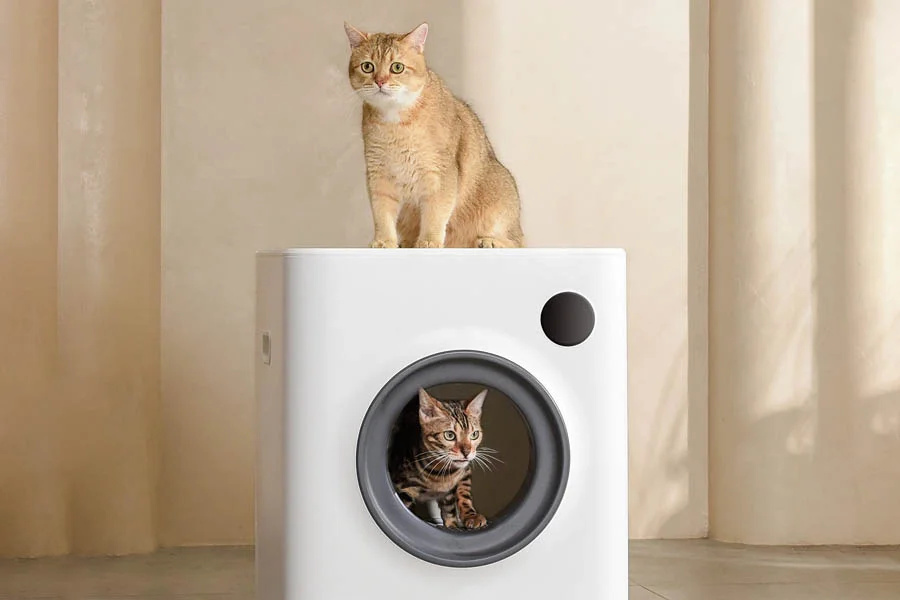 litter box for two cats