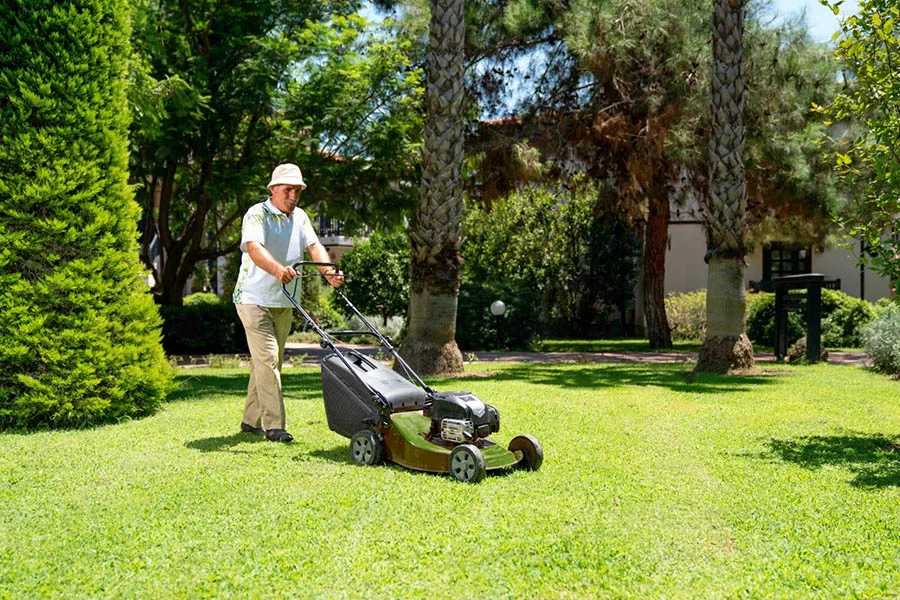 ego power mower